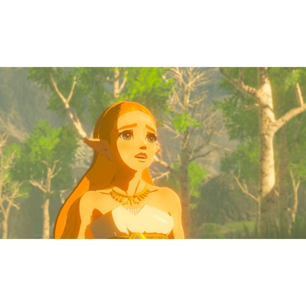 The Legend of Zelda: Breath of the Wild (Nintendo Switch) (Російська версія) (The Legend of Zelda: Breath of the Wild (Nintendo Switch) (RU)) фото 3